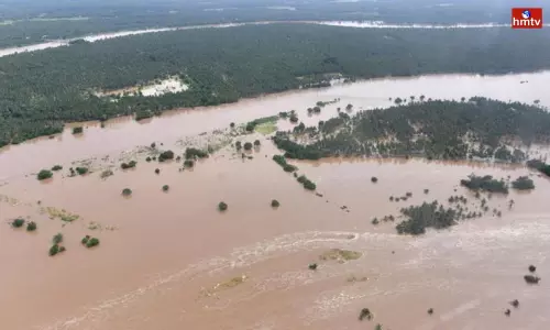 Central Government Team for Telangana Central Government Team for Telangana