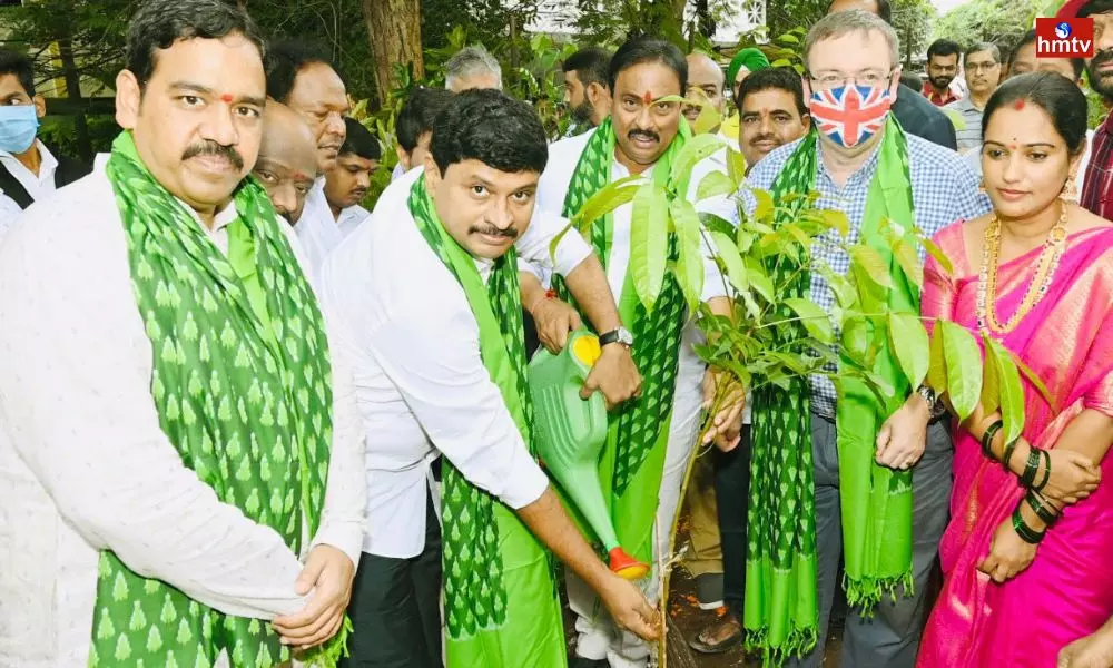 Green India Challenge in Hyderabad | Hyderabad News