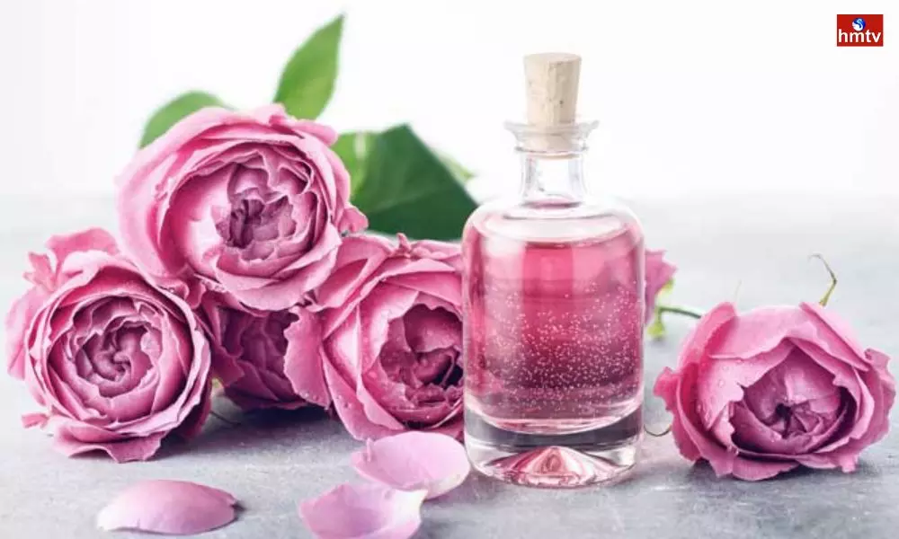 Rose Water in The Market May Be Adulterated Make Rose Water at Home