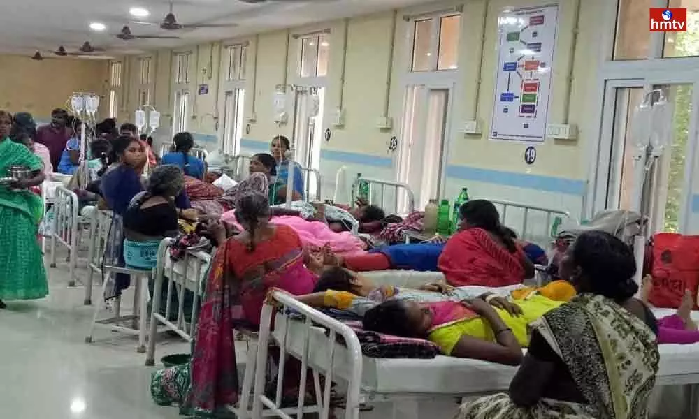 Viral Fever, Dengue in Khammam District