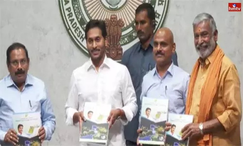 AP CM Jagan Review Meeting on Electricity Department