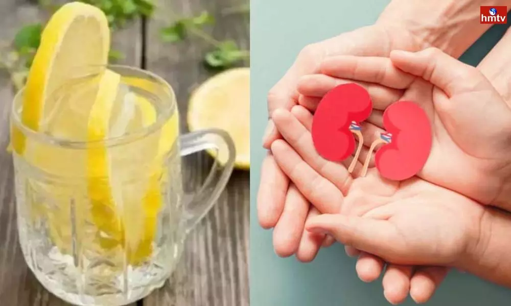These 3 Lemon Drinks are Good for Kidneys Kidneys are Clean