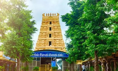 Sravana Masam Celebrations From Today At Srisailam Temple