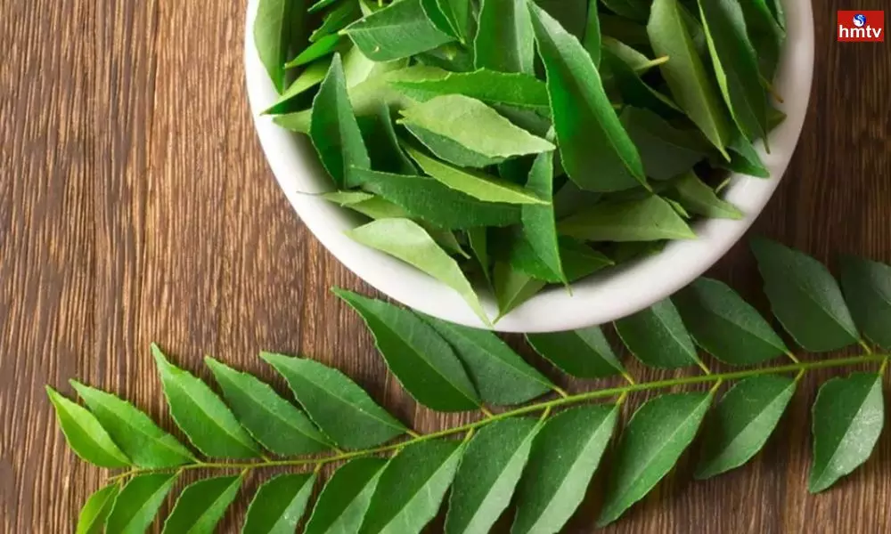 Chew Curry Leaves Early in the Morning and These 5 Diseases Will go away