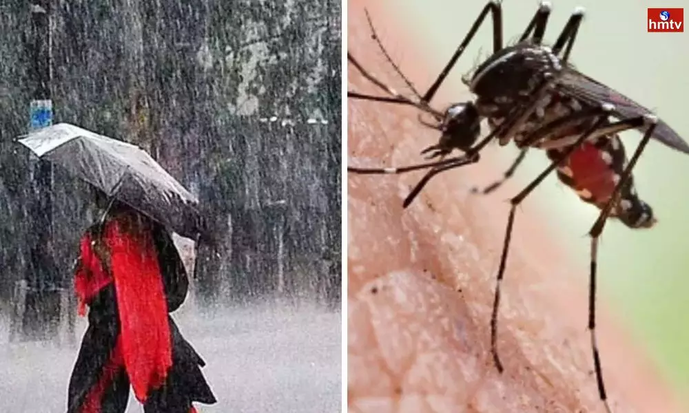 There is a Risk of Dangerous Diseases Like Dengue Typhoid in Rainy Season do These Simple Things to Avoid