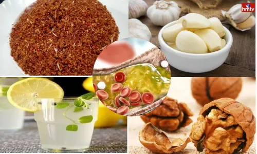 It is Very Difficult to Curb Cholesterol if These Foods are not Taken in the Daily Diet It is Very Difficult to Curb Cholesterol if These Foods are not Taken in the Daily Diet