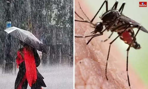 There is a Risk of Dangerous Diseases Like Dengue Typhoid in Rainy Season do These Simple Things to Avoid There is a Risk of Dangerous Diseases Like Dengue Typhoid in Rainy Season do These Simple Things to Avoid