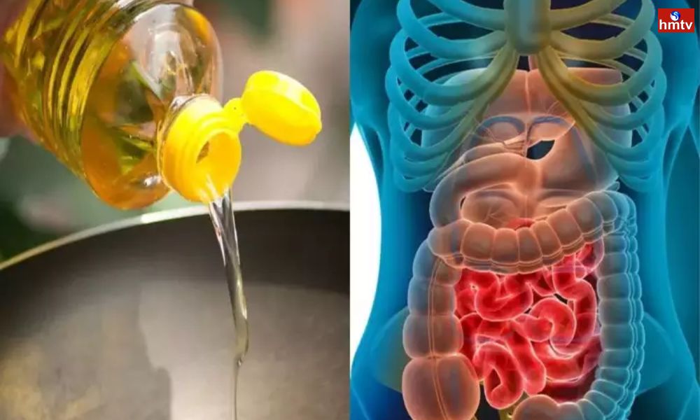 Health Tips ఈ వంట నూనెలని వాడటం వల్లే క్యాన్సర్‌..! Consumption of