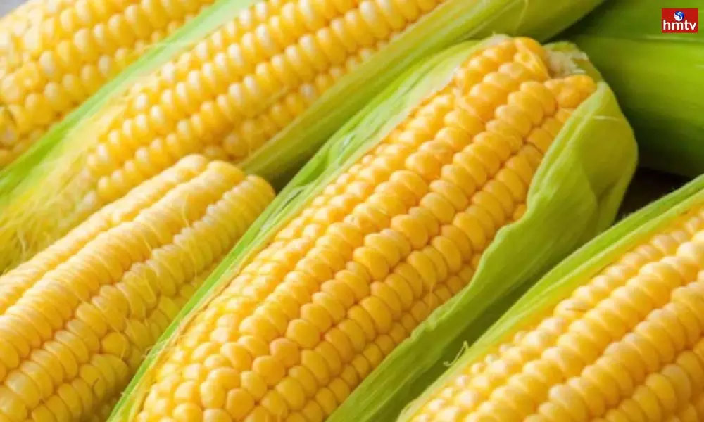 Corn is a Super Food Know the Right way to eat it