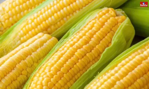 Corn is a Super Food Know the Right way to eat it