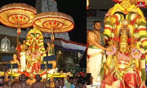 Punnami Garudaseva in Tirumala