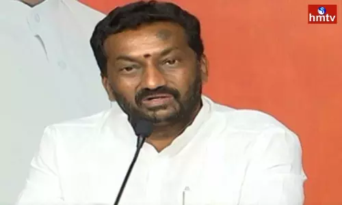 BJP MLA Raghunandan Rao Comments On Srinivas Goud