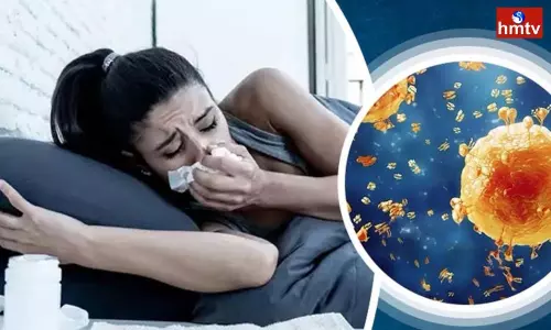 Swine flu in Adilabad District