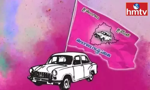 TRS Cadre Awaits for Party Posts