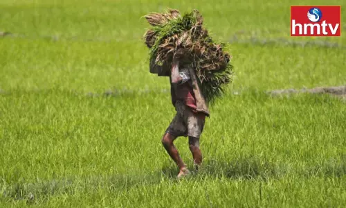 Union Cabinet Approves 1.5% Interest Aid On Agriculture Loan