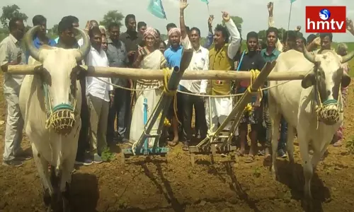 YS Sharmila Praja Prasthana Yatra In Narayanpet YS Sharmila Praja Prasthana Yatra In Narayanpet