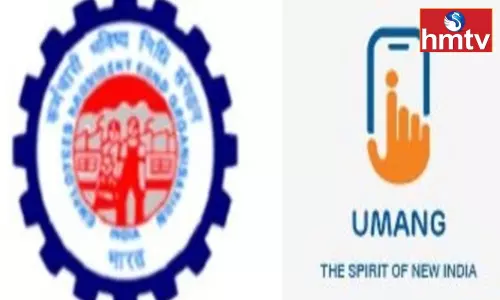 Check PF Balance With UMANG App Within Minutes Sitting at Home Learn its Easy Process