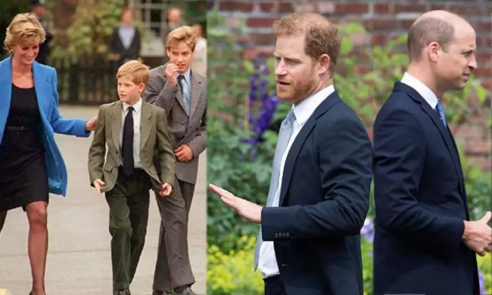 Once-Close Royal Brothers William And Harry Now Estranged