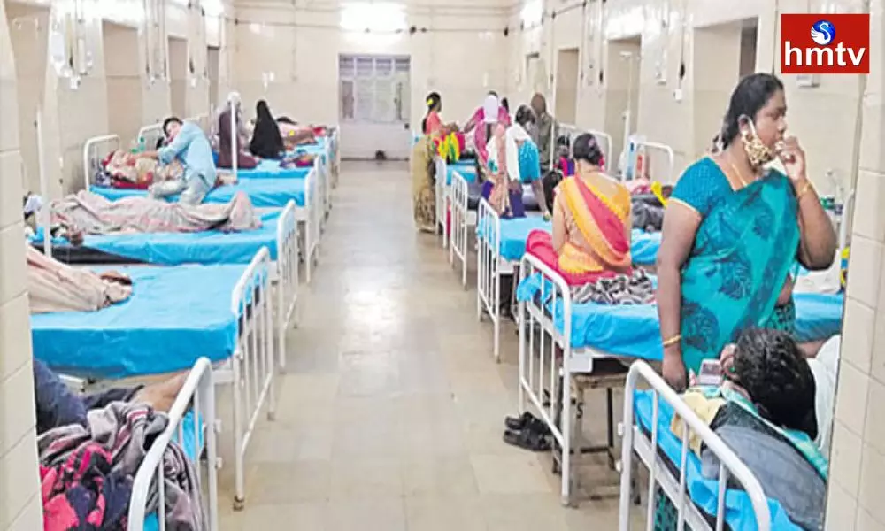 Viral Fevers Spread in Adilabad District