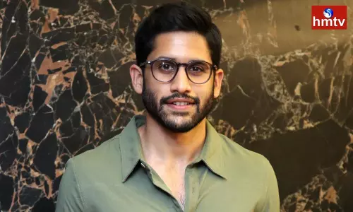 Naga Chaitanya Sensational Comments on Nepotism