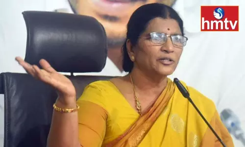 Lakshmi Parvathi Comments On Jr NTR Political Entry