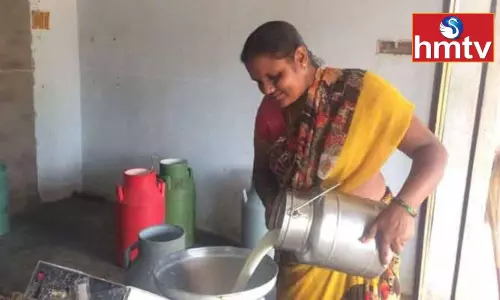 Vijaya Dairy Hikes Milk Procurement Prices Vijaya Dairy Hikes Milk Procurement Prices