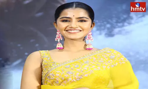 Will Anupama Parameswaran Future Change With a 100 Crore Film