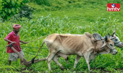 Bumper Offer for Farmers Pashu Kisan Credit Card get 3 Lakh Rupees Check for all Details