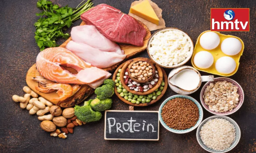These Foods are Protein Rich Foods Must be in the Diet
