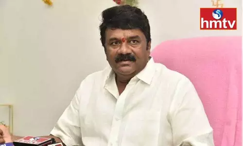 Talasani Assures Support for Ganesh Idol Immersion