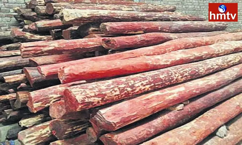 Red Sandalwood Seized in Srikakulam