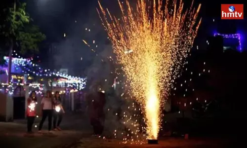 Delhi Government Bans Firecrackers Delhi Government Bans Firecrackers