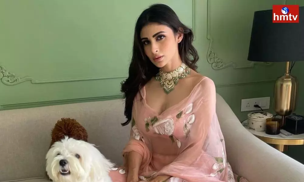 Mouni Roy Did Not like the Telugu audience but pleased the Hindi audience