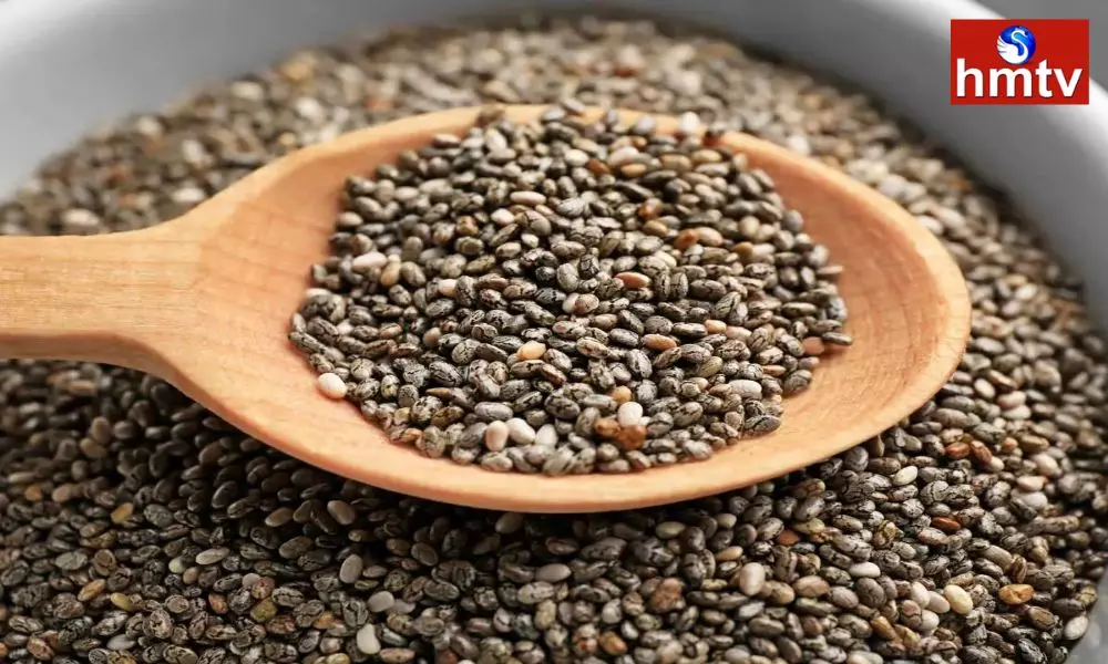 Chia nuts are essential for health chia seeds health benefits