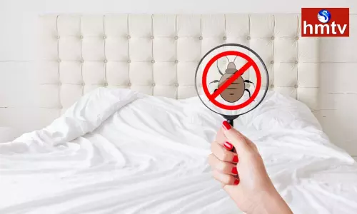 Clean the Mattresses in the House Like This Otherwise There Will be More Insect Attacks