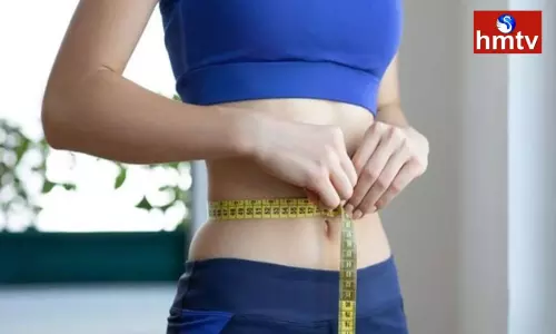 Best time to have breakfast lunch and dinner