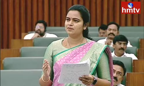 Vidadala Rajini Comments On TDP