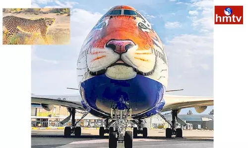 Namibian Cheetahs Have Arrived in India