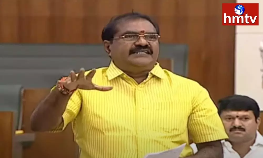 TDP MLA Nimmala Ramanaidu About Viral Fevers In Assembly
