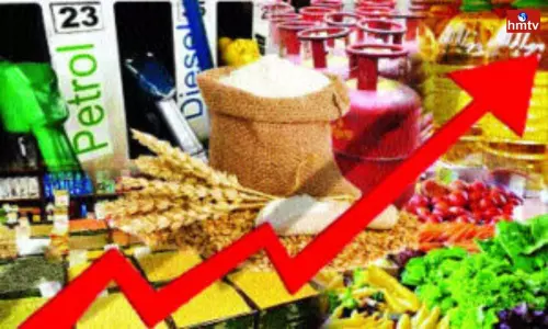 Inflationary Pressures in India | Telugu News