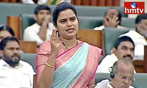 Vidadala Rajini Comments On Chandrababu