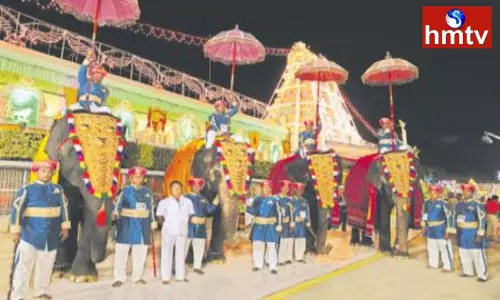Elephants At TTD Srivari Brahmotsavam | AP News Elephants At TTD Srivari Brahmotsavam | AP News