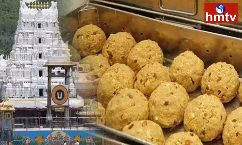Laddu Naivedyam For Tirumala Venkateswara Swamy