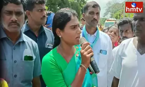 YS Sharmila Comments On CM KCR
