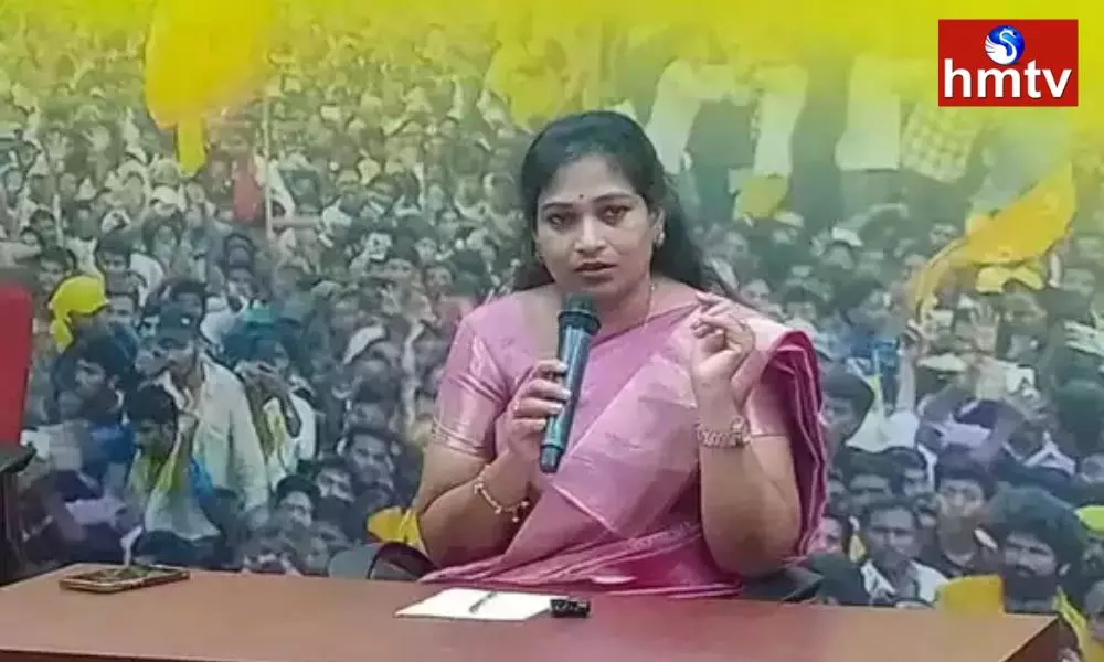TDP Leader Anitha Comments on YCP Government | AP News