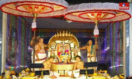 Srivari Pedda Sesha Vahana Seva At Tirumala