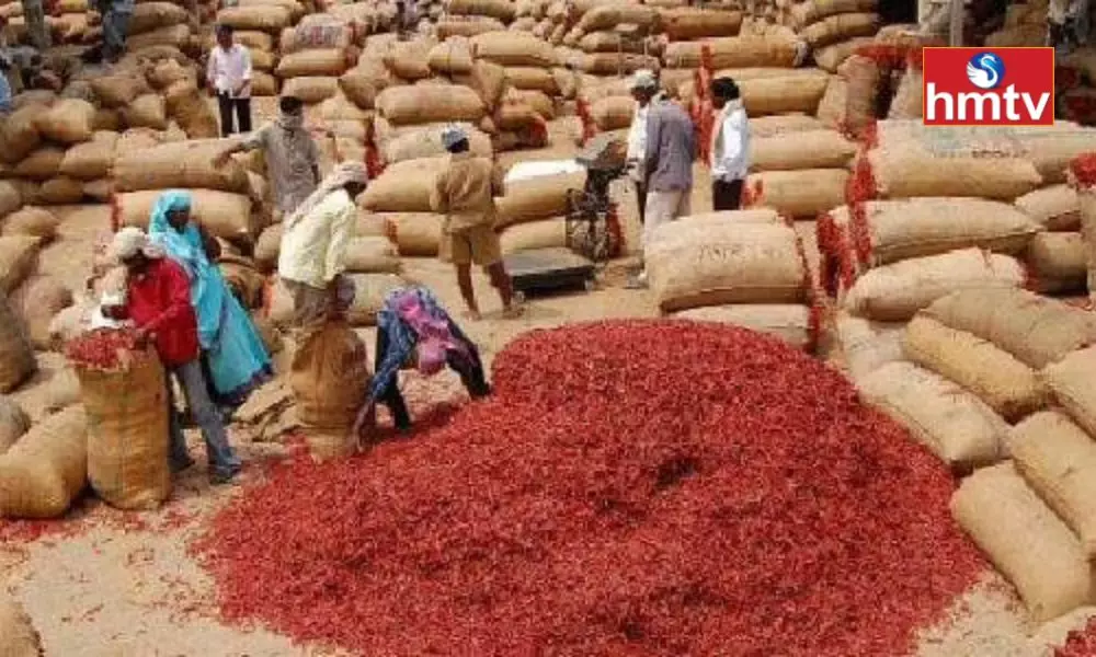 Red Chilli Price Hits All Time Record In Warangal Enumamula Market Yard