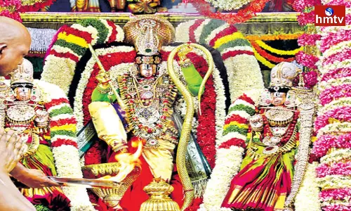 Sarva Bhoopala Vahanam Brahmotsavam At Tirumala