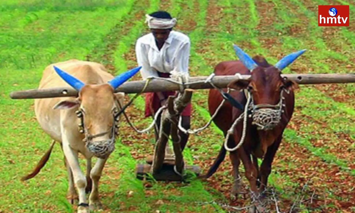 Farmers Facing Problems | Telugu News