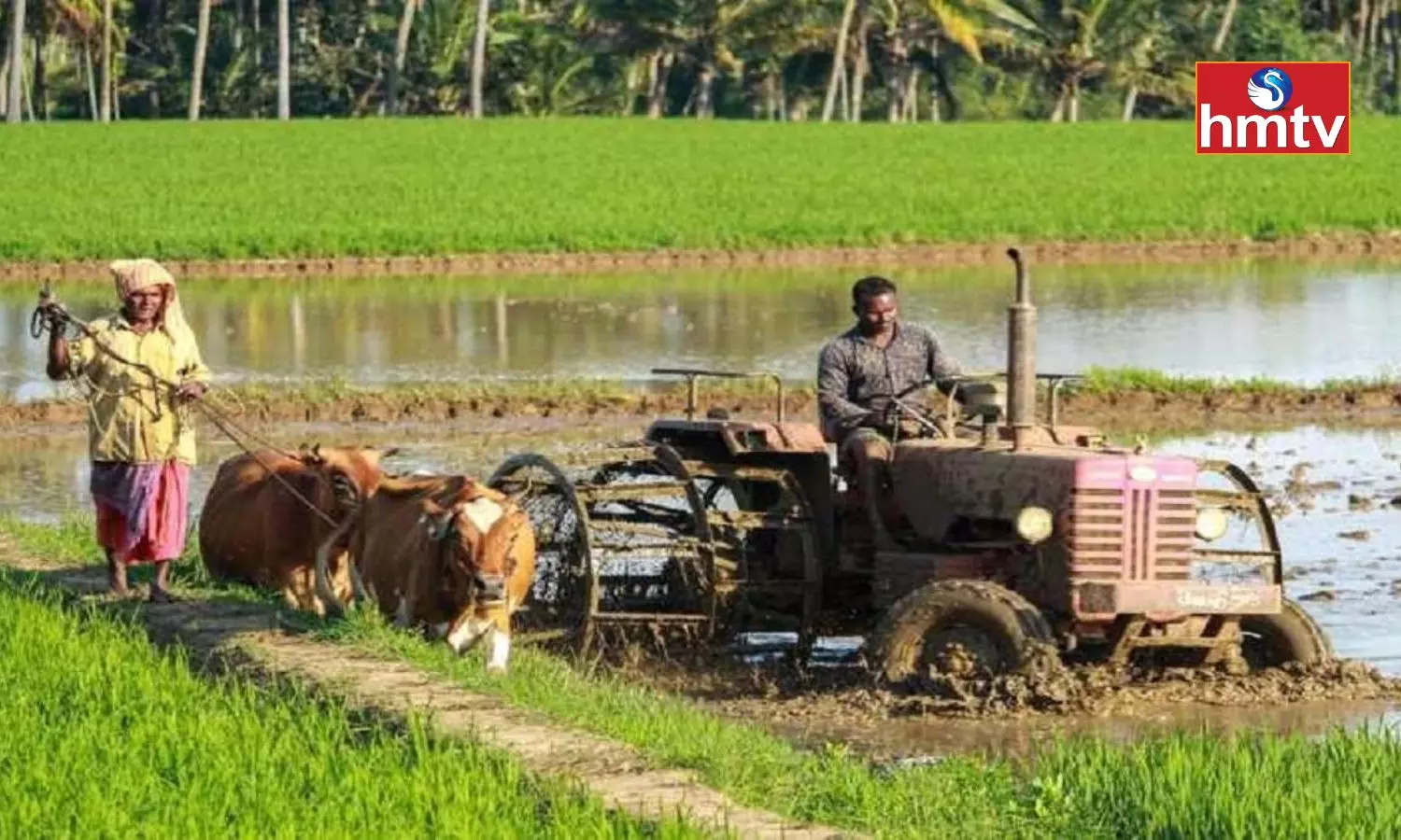 PM Kisan Tractor Yojana Scheme the Government Gives 50% Subsidy to Farmers on the Purchase of Tractors Know how to Benefit